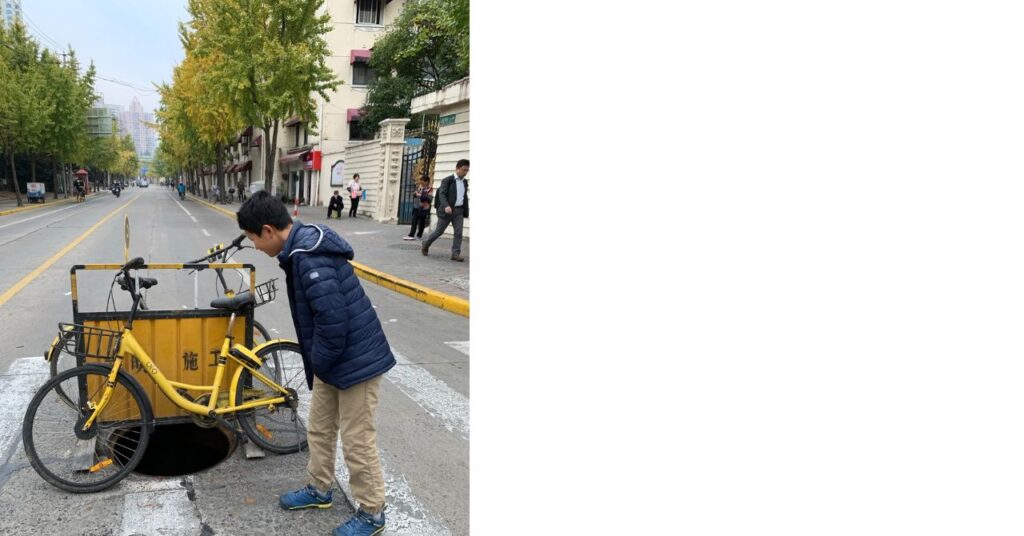 上海の銀杏並木